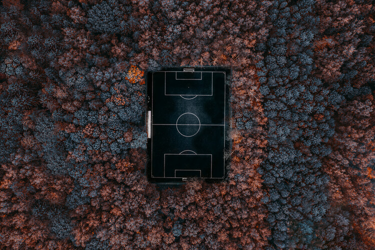 Poster playing in the forest