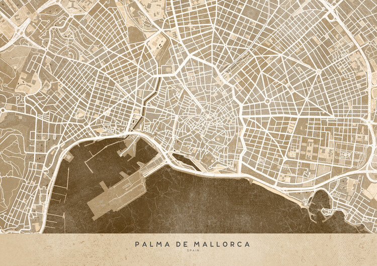 Poster Sepia vintage map of Palma de Mallorca