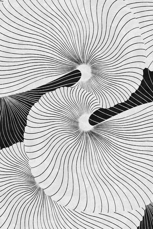 Poster Shell