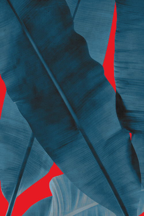 Plakat Tropical 3