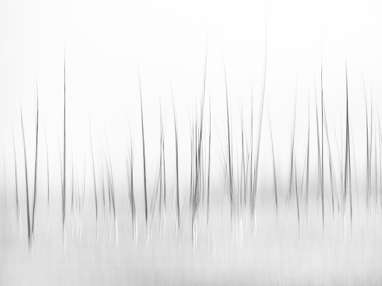 Poster Wintry scenery in Yellowstone