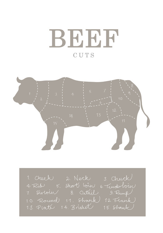 Poster Beef Cuts