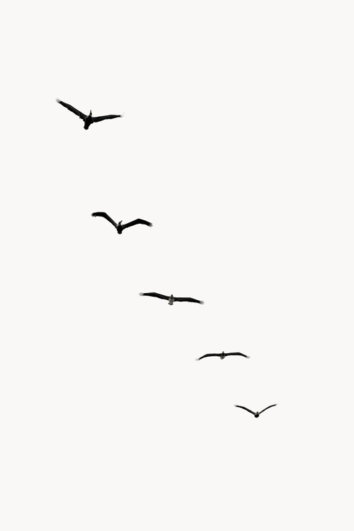 Poster Heavenly Creatures