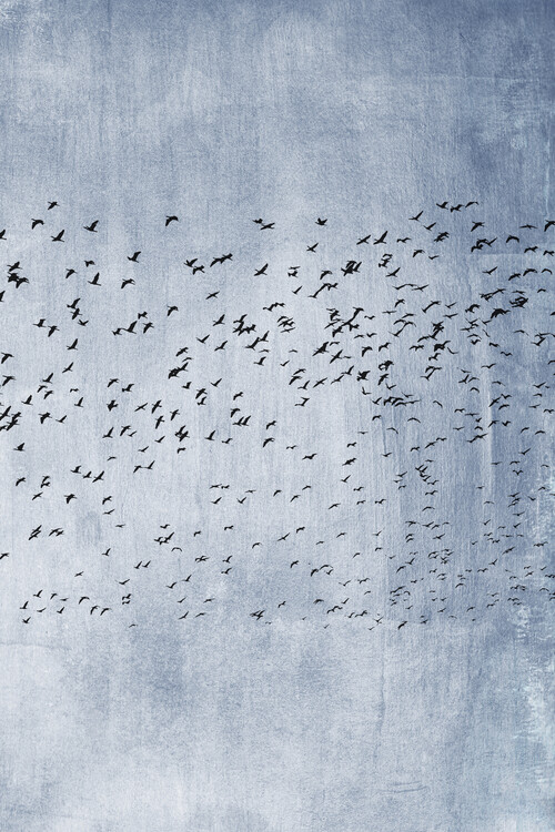 Levně Plakát, Obraz - Moving On Blue, Kubistika, 26.7 × 40 cm