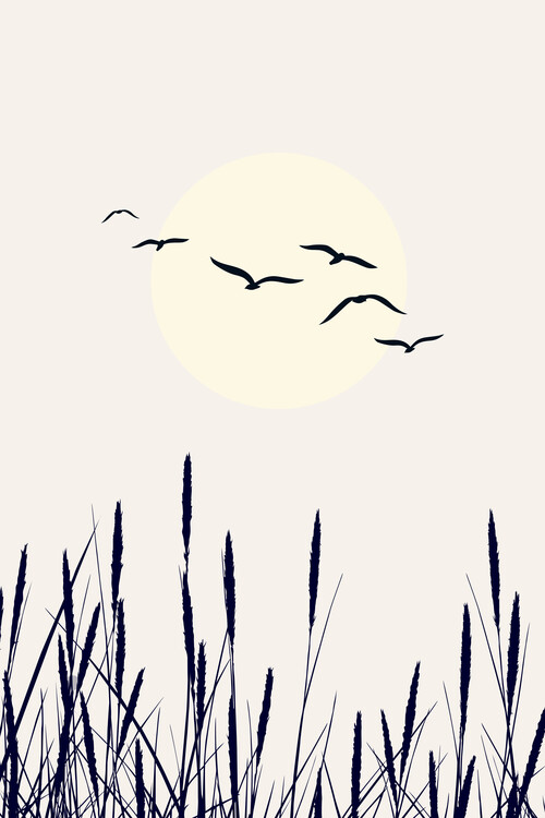 Poster Shadows Of The Sun