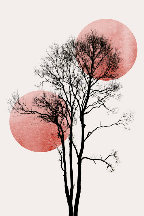 Плакат Sun and Moon hiding ROSÈ