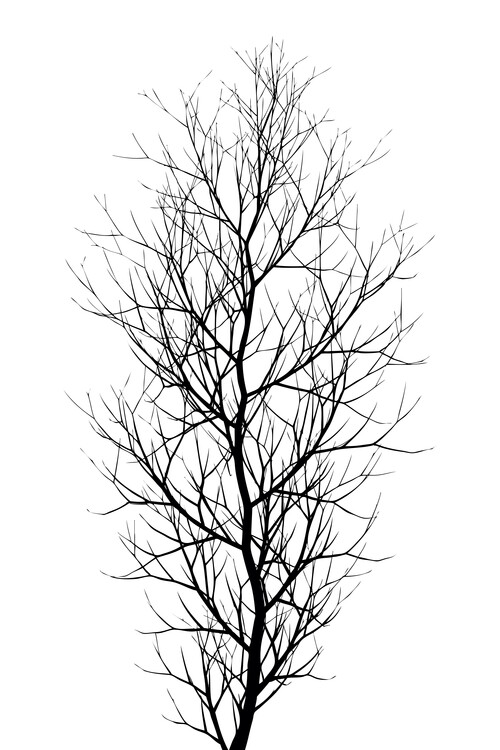 Poster The Tree BLACK