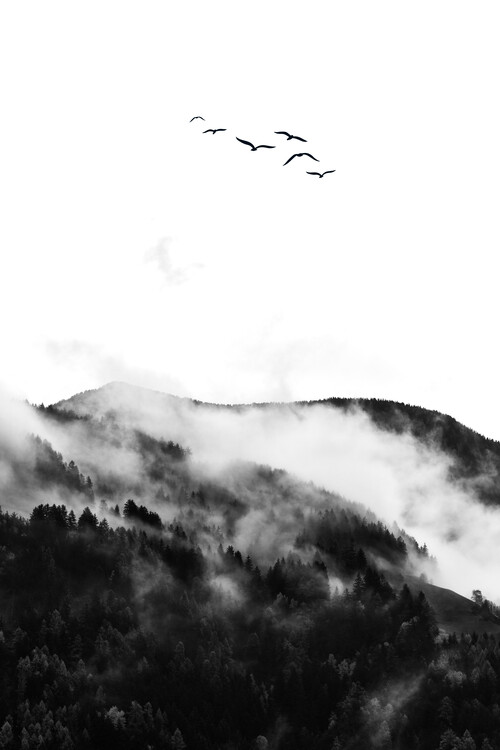 Плакат The Wilderness