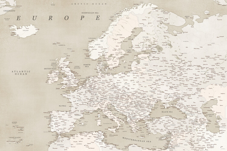 Poster Sepia vintage detailed map of Europe