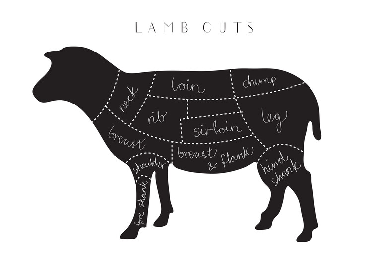 Canvas Print Lamb Cuts