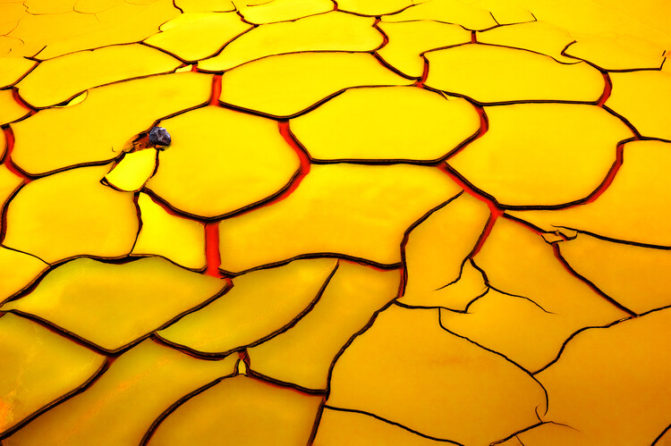 Plakát Yellow ground, red heart