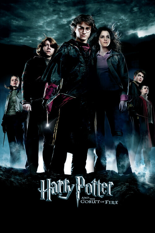 Slika na platnu Harry Potter - Ognjeni kelih