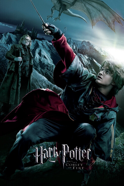 Poster Harry Potter - La Coupe de feu - Harry