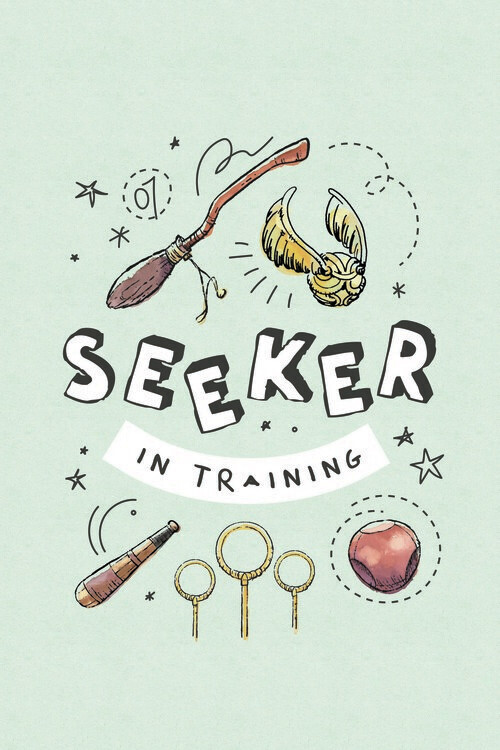 Poster Harry Potter - Seeker in training