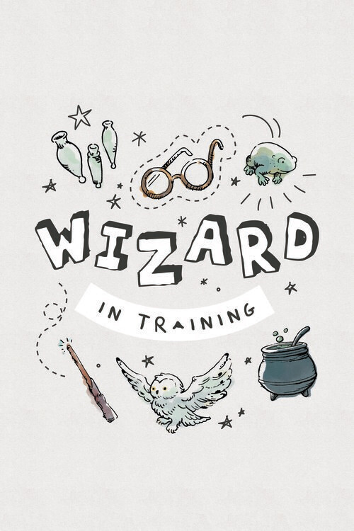 Poster Harry Potter - Wizard in training