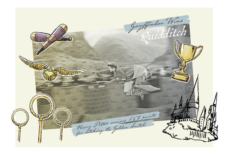 Poster Harry Potter - Gryffindor wins Quidditch