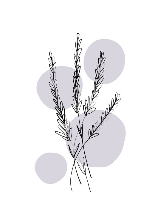 Poster Alina Buffiere - Delicate Botanicals - Lavender