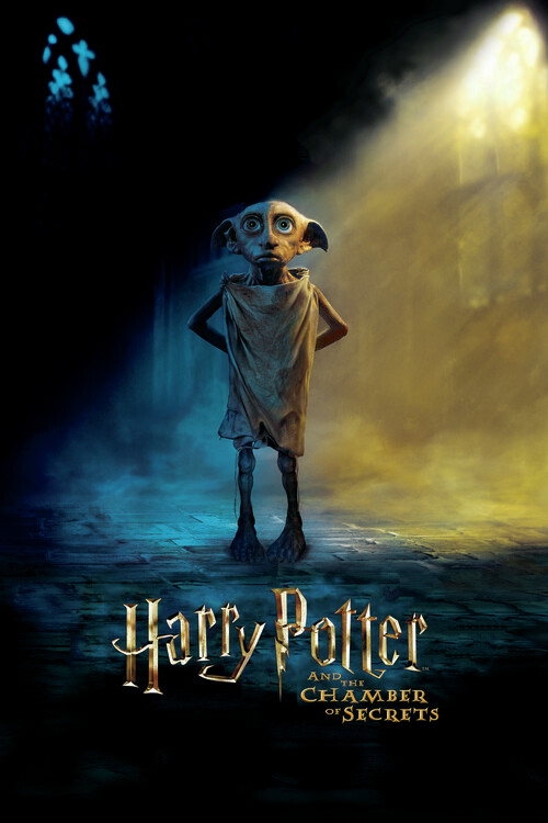 Canvas Print Harry Potter - Dobby