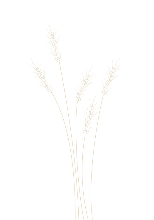 Poster Wheat Grass