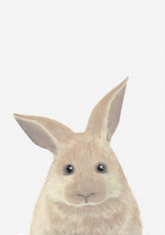 Poster Rabbit