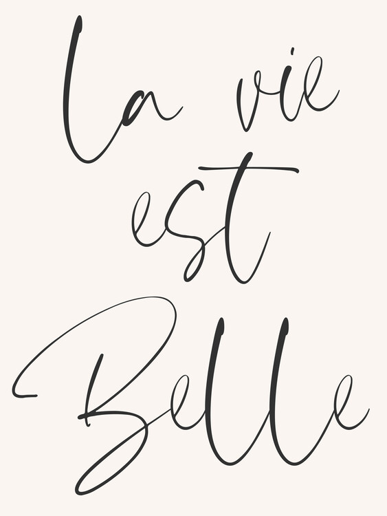 Poster La vie est belle