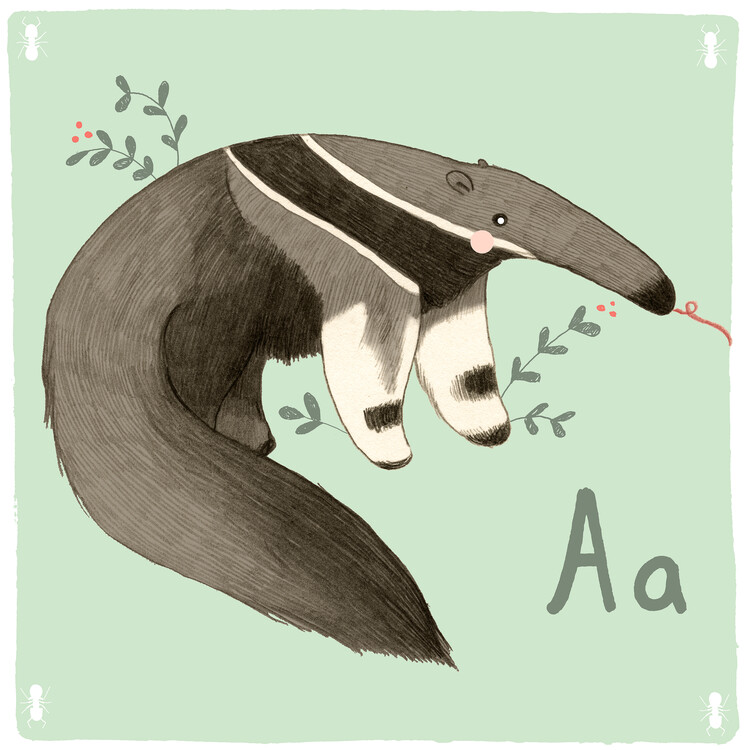 Plakát Alphabet - Anteater