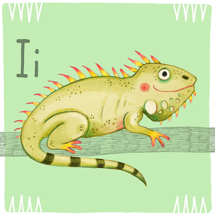 Plakát Alphabet - Iguana
