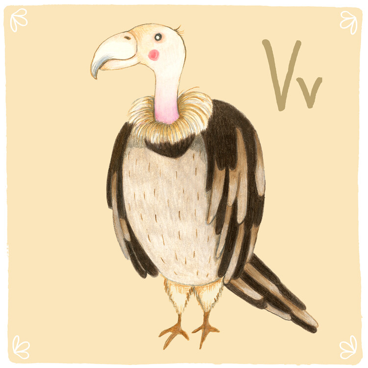 Plakát Alphabet - Vulture