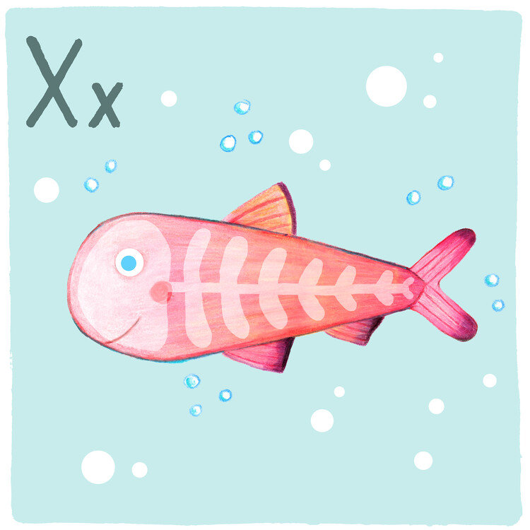Plakát Alphabet - X-Ray-Fish