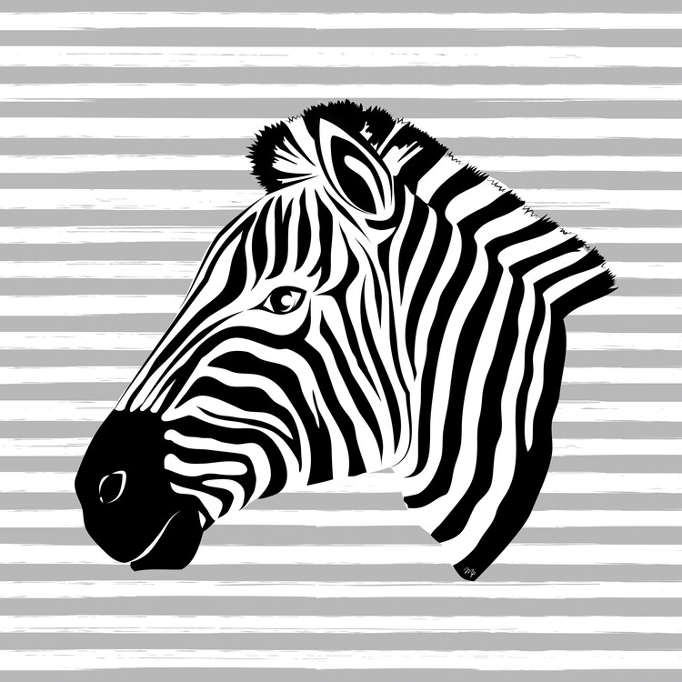 Plagát Striped zebra