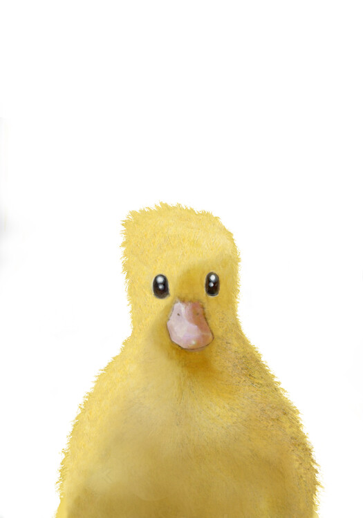 Poster Duck