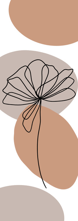 Poster Colorful poppy