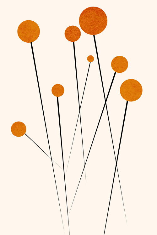 Poster Dreaming Daisies