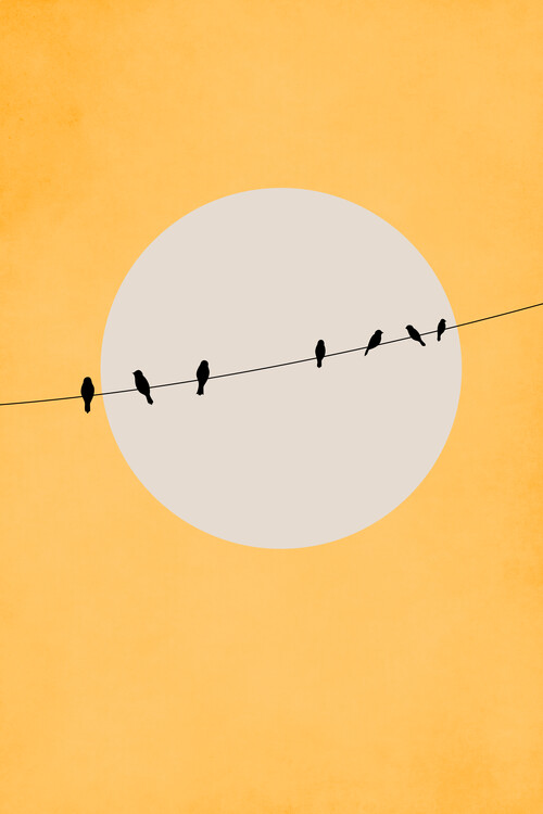 Poster Chirping And Chilling (At Day)