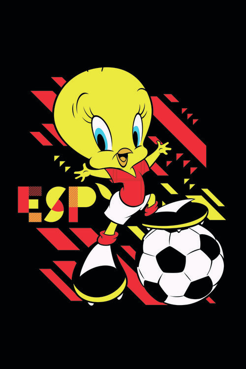 Canvas Print Tweety and football