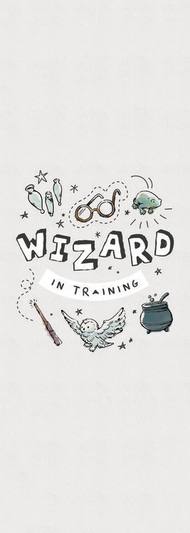 Poster Harry Potter - Wizard in training