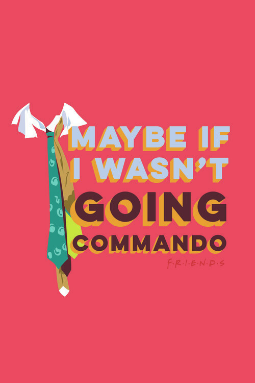 Poster Friends - Commando