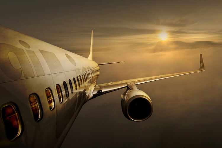 Canvas Print Golden flight