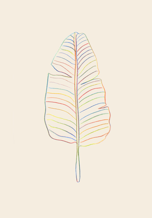 Poster Banana Rainbow Leaf