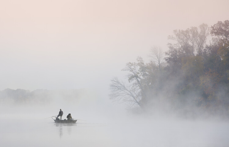 Poster Foggy morning