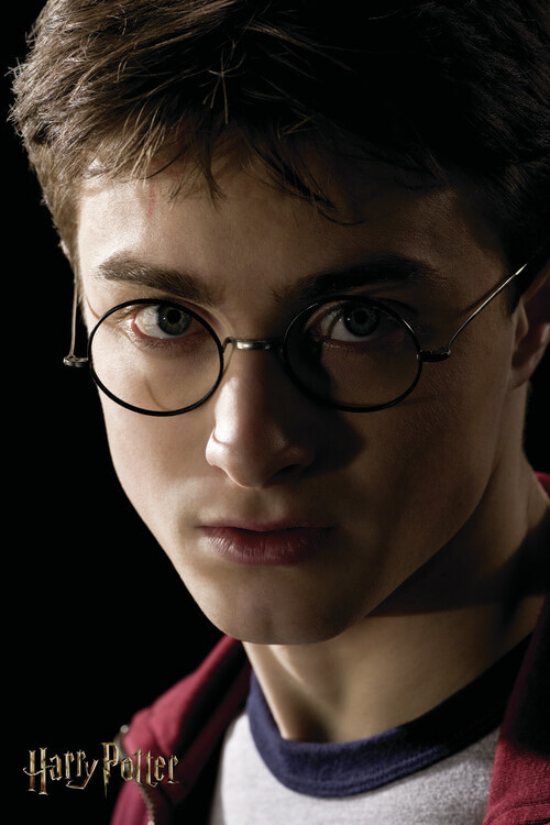 Slika na platnu Harry Potter - Portrait
