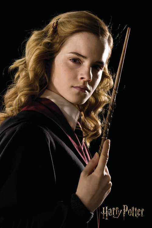 Canvas Print Hermione Granger (Emma Watson)