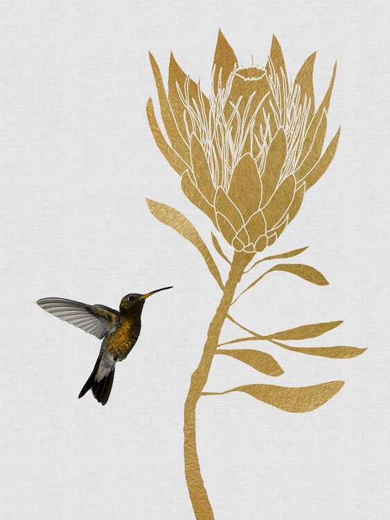 Poster Hummingbird & Flower I