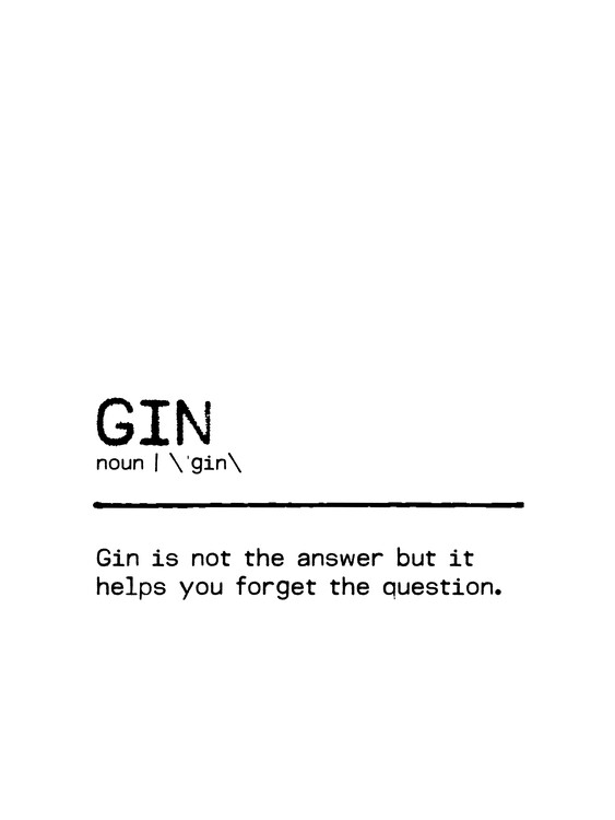 Poster Quote Gin Question