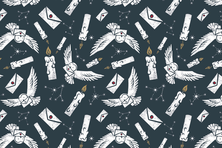 Poster Harry Potter - Letter from Hedwig