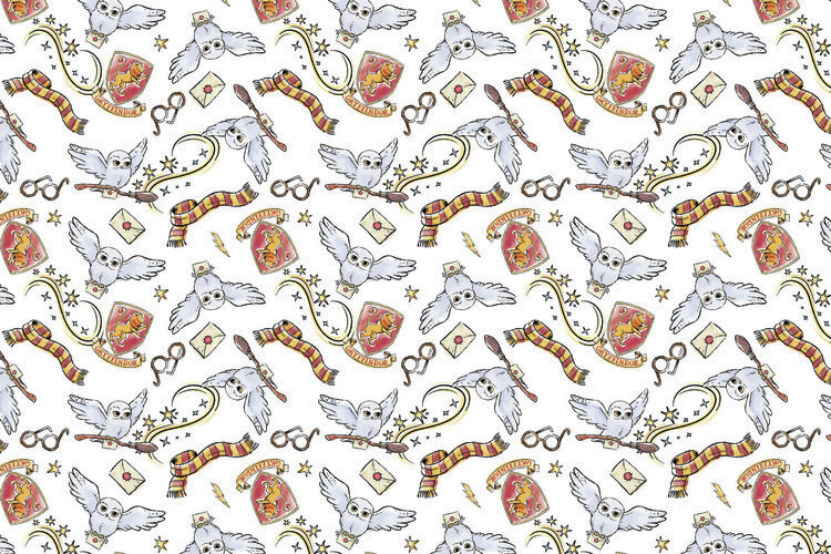 Poster Harry Potter - Magical moments