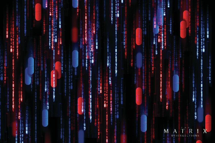 Canvas Print Matrix 4 - System