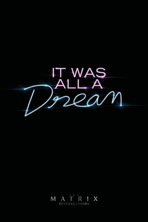 Canvas Print Matrix 4 - It was all a dream