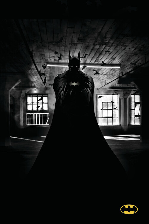 Obraz na plátně Batman - Beauty of Flight