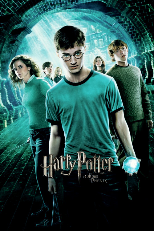 Plagát Harry Potter - Fenixov rád